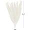 35" Natural Dried Palm Leaf Bundle with Feather-Inspired Stems
